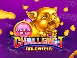 FEATURE BUY・GOLDEN PIG thumbnail